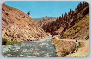 The Payette River   Horseshoe Bend Idaho   Postcard