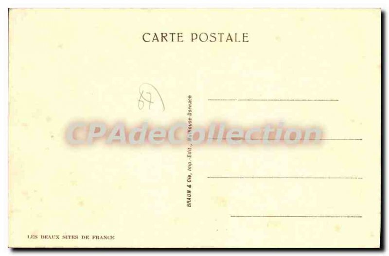 Postcard Old Types Alsatians