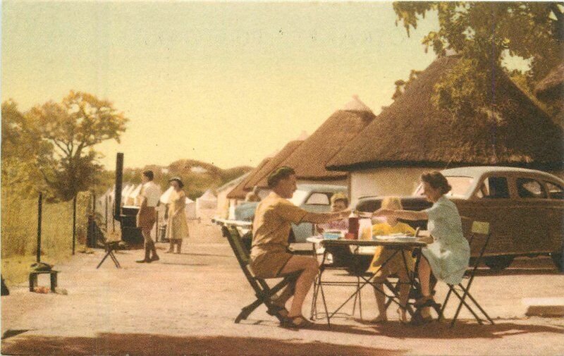 Africa South 1950s Kruger National Park Postcard 22-7741