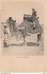 CAMEL ; Chameau de fantaisie , EGYPT , 00-10s