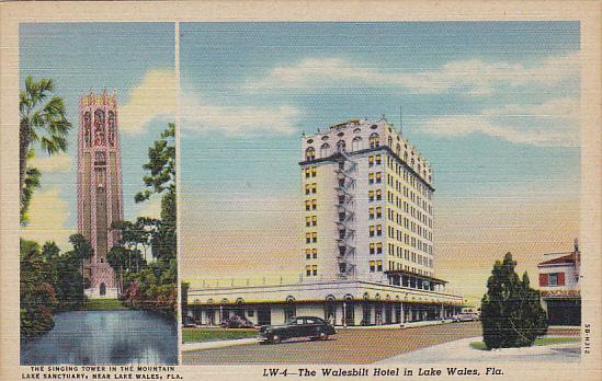 Florida Lake Wales Singing Tower and Walesbilt Hotel Curteich