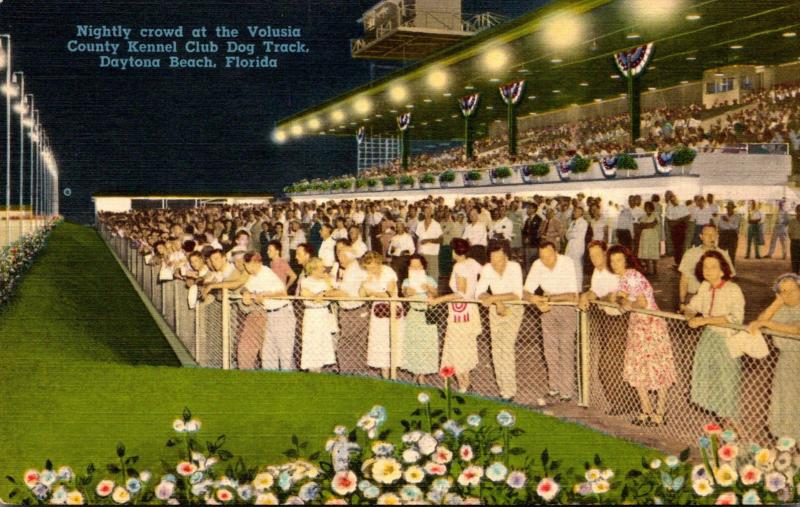 Florida Daytona Beach Nightly Crowd At Volusia County Kennel Club Dog Track