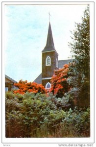 St. Columbia Anglican Church and Rhododendrons, Tofino, British Columbia, Can...