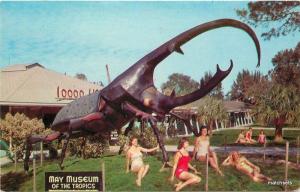 Hercules & The Mermaids Giant Bug MWM CO postcard 995