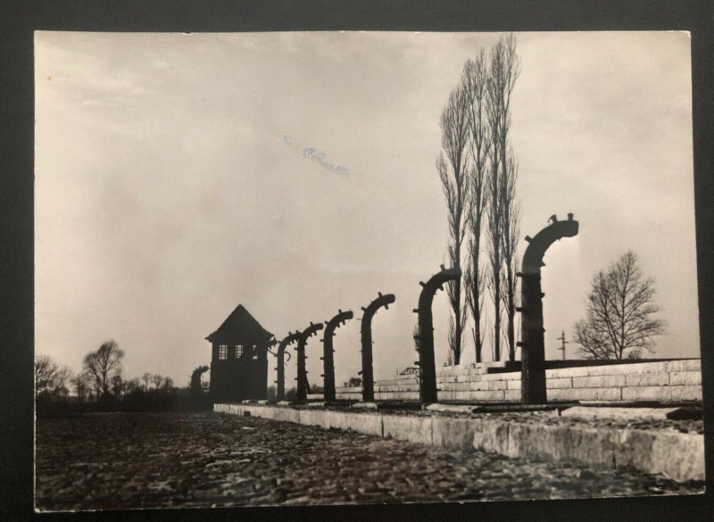 Mint Poland Real Picture Postcard RPPC Concentration Camp Auschwitz State Museum