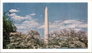 Washington Monument Dc Egyptian Obelisk Washington Monument National Postcard 