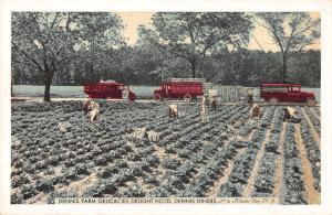 Atlantic City New Jersey Hotel Dennis Diners Farm Scene Antique PC (J32432) 