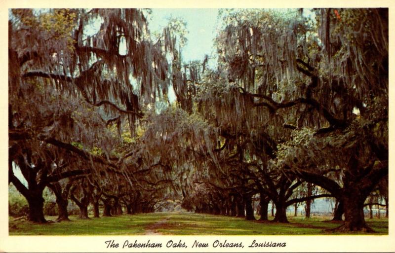 Louisiana New Orleans The Pakenham Oaks