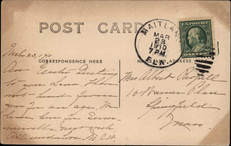 Maitland FL View From the Inn c1910 Real Photo Postcard