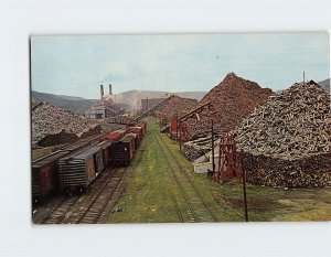 Postcard Pulpwood Piles, Rumford, Maine