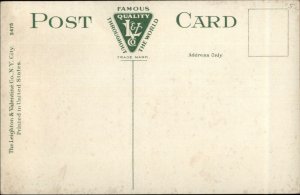 Ithaca NY From Cayuga St. Extension c1910 Postcard