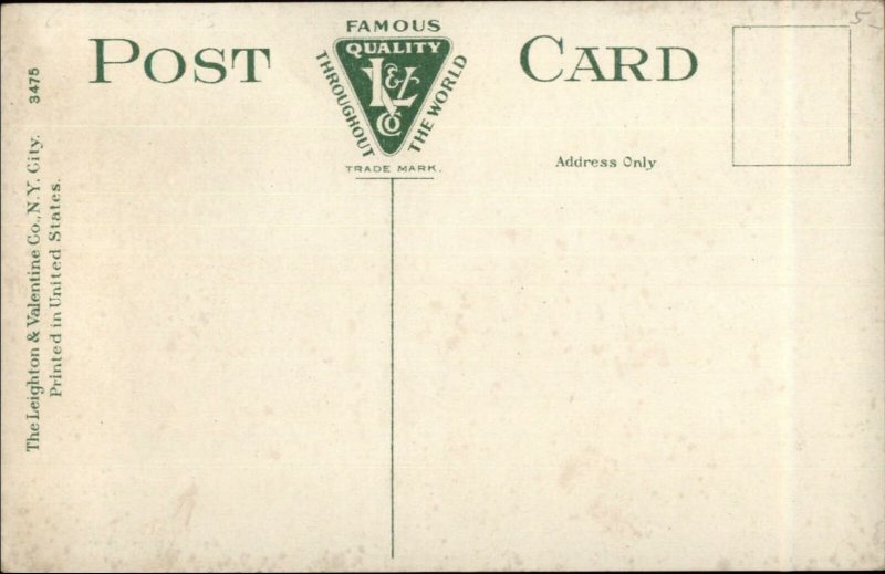 Ithaca NY From Cayuga St. Extension c1910 Postcard