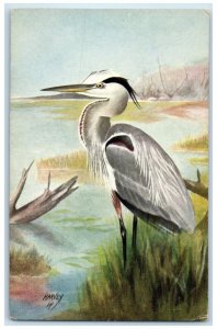 Great Blue Heron Ardea Occidentalis Harvey Animals Unposted Vintage Postcard