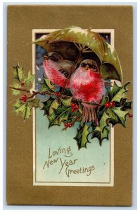 1910 New Year Greetings Birds With Umbrella Holly Berries Paulsboro NJ Postcard