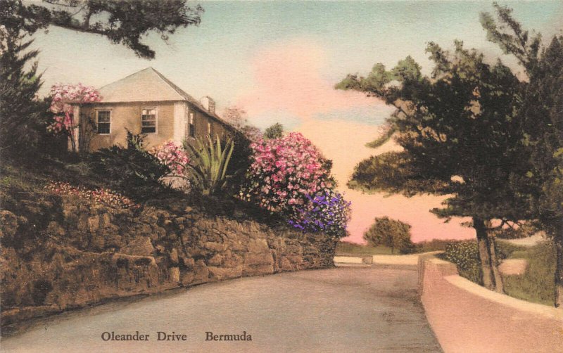 Oleander Drive, Bermuda, Early Hand Colored Postcard, Unused 