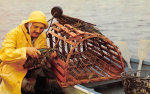 Cape Code Fisherman with Prize of his Catch Cape Cod, Massachusetts, USA