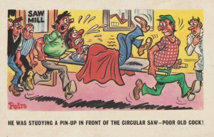 D CONSTANCE  Artist PEDRO  Number 213