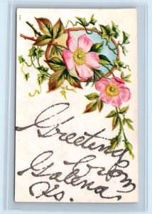Greetings From GALENA, KS Kansas ~ c1910s Embossed Cherokee County  Postcard