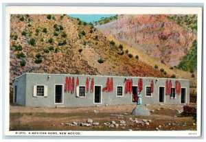 c1920 Mexican Home Scattered Quaint Communities New Mexico Fred Harvey Postcard 