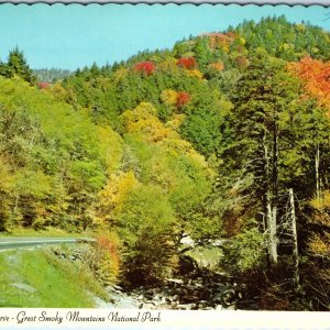 c1960s Cherokee, NC Transmountain Highway Curve Little Pigeon River 4x6 PC M11