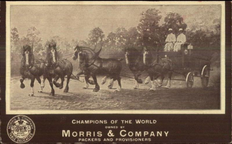 Morris & Company Packers 6 Horse Team Wagon c1910 Postcard