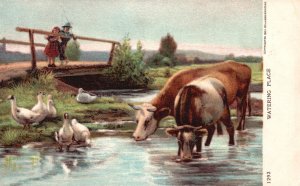 Vintage Postcard Watering Place Animals In The River Cows Ducks Countryside