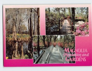 M-156804 Magnolia Plantation & Gardens Charleston South Carolina