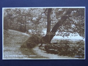 HINDHEAD Grayshott WAGGONERS WELL c1916 RP Postcard by Judges / M.S. Deighten