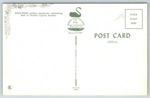 Florida  Cypress Gardens  Aqua-Maids  Water Skiing  Postcard