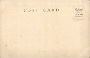 Queen Victoria Castle Series Elliott & Fray c1905 Postcard