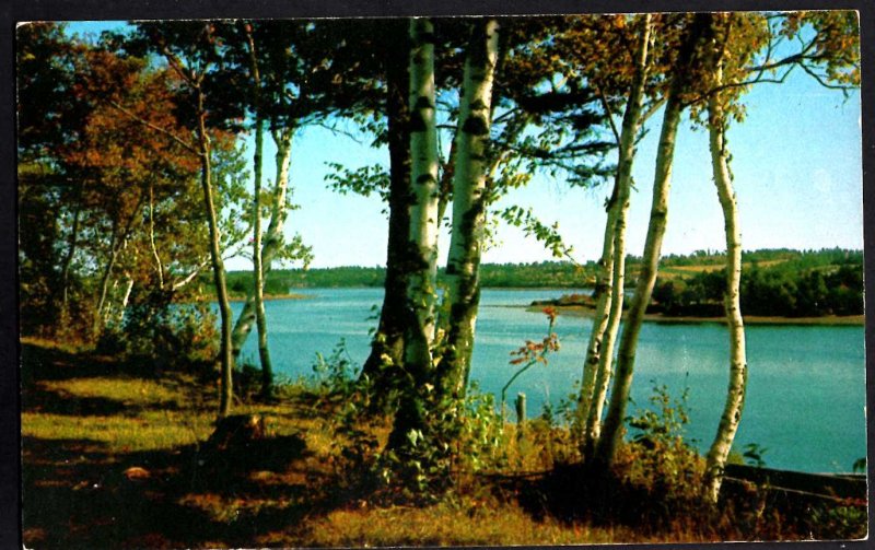 PEI Prince Edward Island MONTAGUE RIVER Scenic View Photo by Craswell ~ Chrome