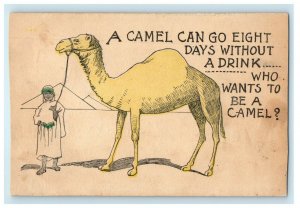 c1905 No Drinking Alcohol Camel Pyramids Egypt Humor Posted Antique Postcard 