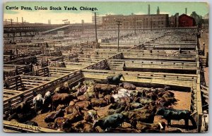 Vtg Chicago Illinois IL Cattle Pens Union Stock Yard 1910s View Old Postcard