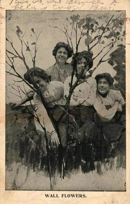 Vintage Postcard 1910 Wall Flowers Four Women Sitting in Meadow