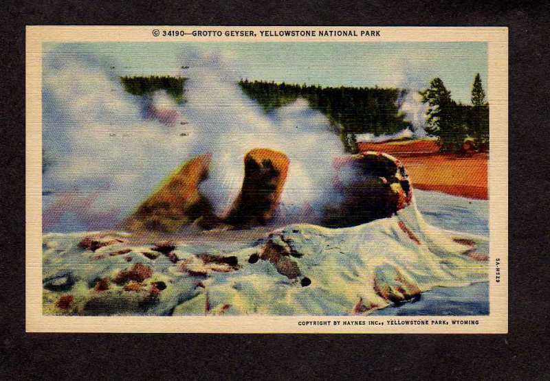 WY Grotto Geyser Yellowstone National  Park Wyoming Postcard