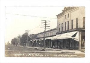 LP75  Michigan, MI, Vintage Postcard, Shepherd, Main Street 