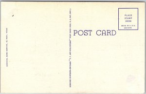 International Bridge Between C. Juarez Mexico and El Paso Texas TX Postcard