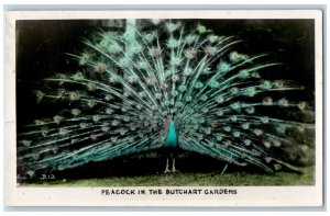 Brentwood Bay BC Canada Postcard Peacock in the Butchart Gardens 1940 RPPC Photo