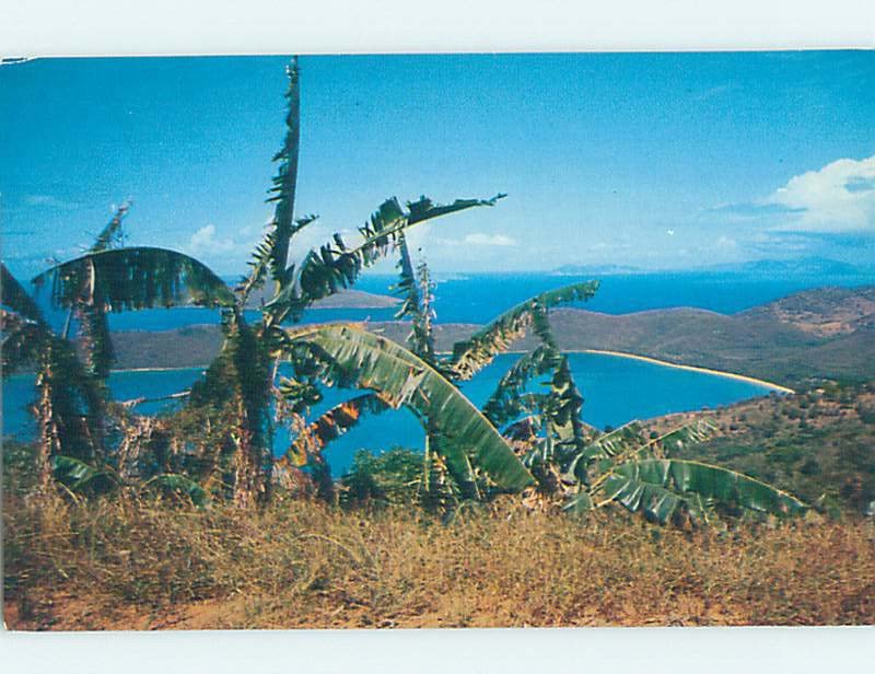 Pre-1980 NATURE SCENE St. Thomas US Virgin Islands USVI AD3899