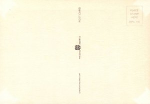 Dog on Roller Skates