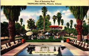 Linen Postcard Swimming Pool at Tropicana Motel in Phoenix, Arizona