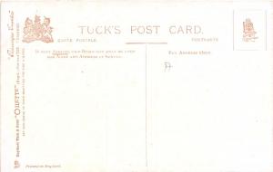 MANACLE ROCKS CORNWALL UK TUCK PICTURESQUE COUNTIES #7117 POSTCARD 1900s