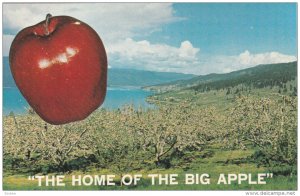 OKANAGAN VALLEY, British Columbia, 1940-1960's; The Home Of The Big Apple