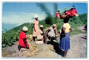 c1950's Jamaican Women Marketing Produce By Roadside B.W.I Posted Postcard