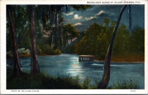 Postcard FL  Silver Springs - Moonlight Scene