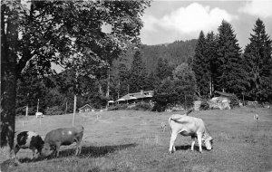 Lot356 waldherr alm bei bad tolz obbay hotel real photo car germany