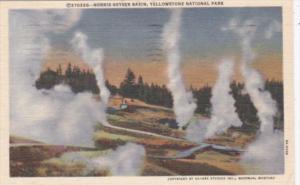 Norris Geyser Basin Yellowstone National Park 1950 Curteich