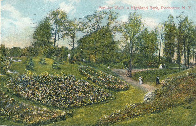 Popular Walk in Highland Park, Rochester, New York - pm 1910 - DB