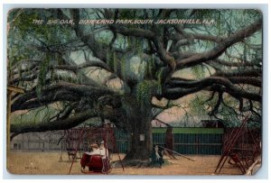 c1910's The Big Oak Dixieland Park South Jacksonville Florida FL Postcard