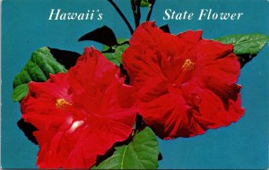 VINTAGE POSTCARD RED HIBISCUS STATE FLOWER OF HAWAII MAILED 1970s